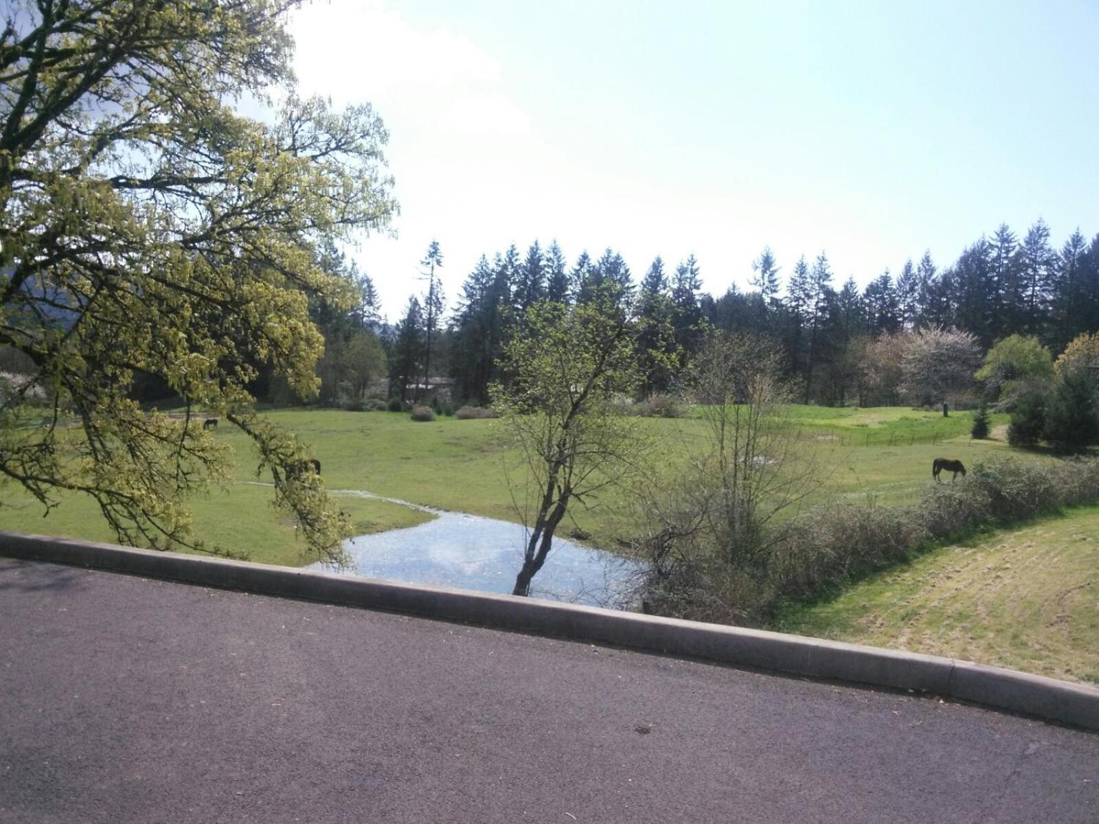 Vancouver Wa Beautiful Apartment Woodland Εξωτερικό φωτογραφία