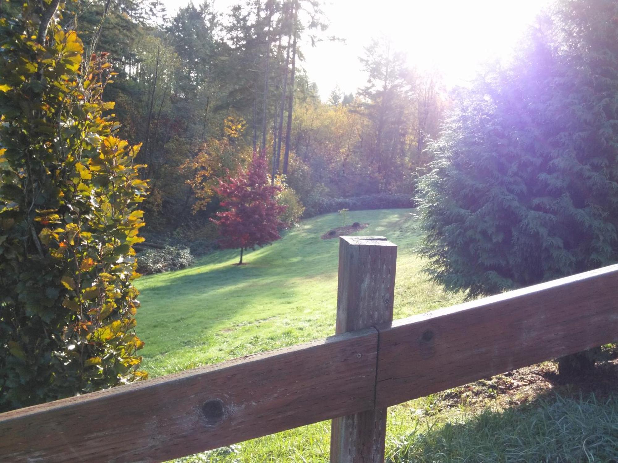 Vancouver Wa Beautiful Apartment Woodland Εξωτερικό φωτογραφία
