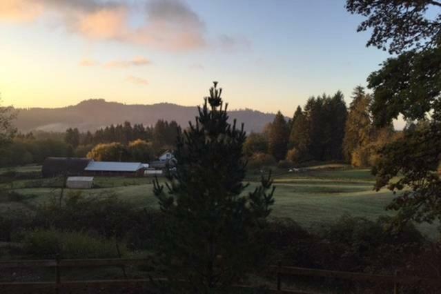 Vancouver Wa Beautiful Apartment Woodland Εξωτερικό φωτογραφία